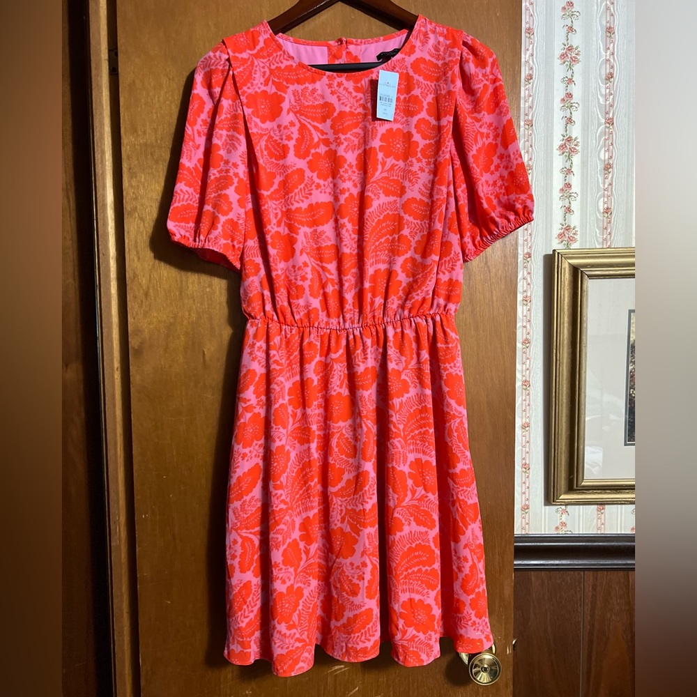 Ann Taylor Dress NWT